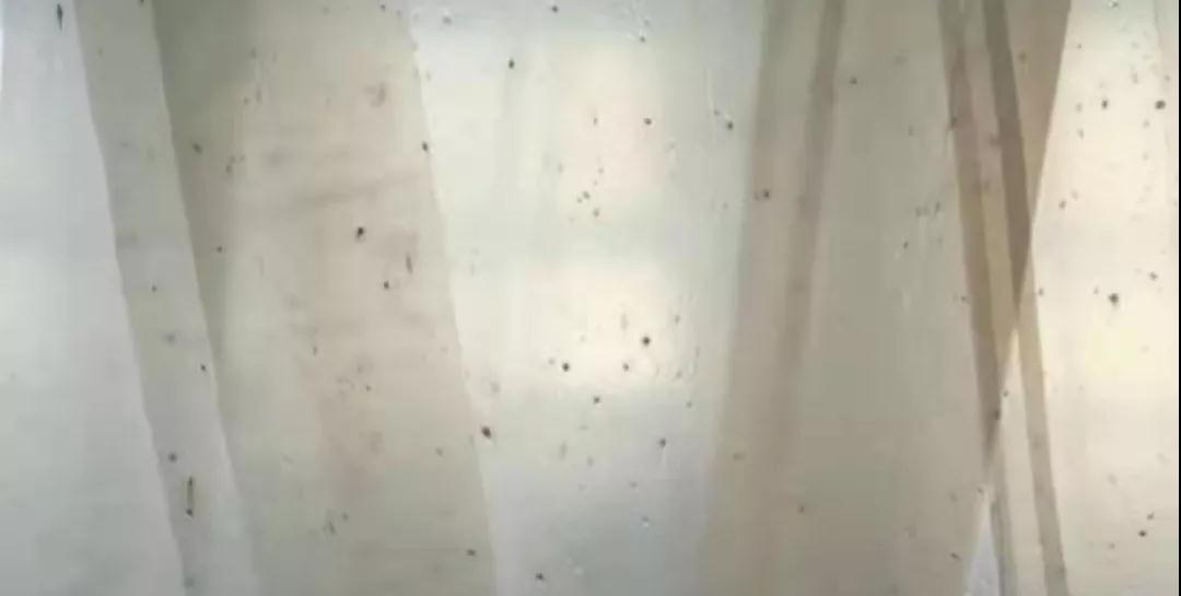 PBAT膜袋有黑點是什么原因？(圖1)