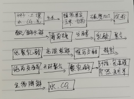 生物降解袋中的PLA是如何制得的？(圖1)